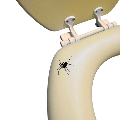 Spooky Spider Padded Toilet Seat - Beige